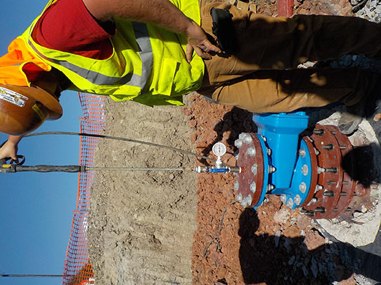 lorem ipsum dolor sit