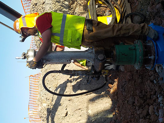 lorem ipsum dolor sit